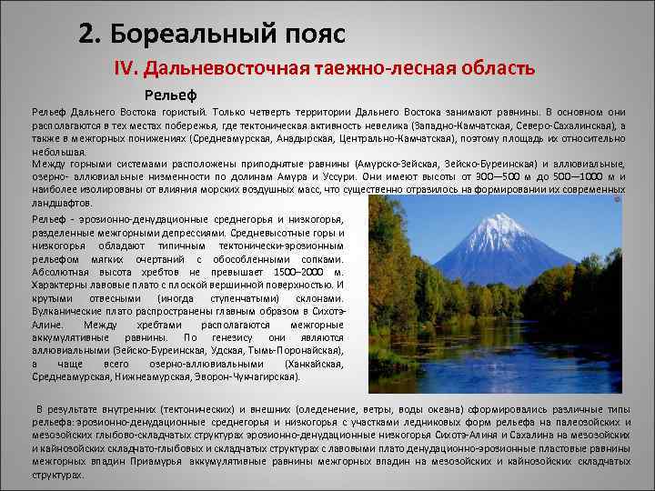 2. Бореальный пояс IV. Дальневосточная таежно-лесная область Рельеф Дальнего Востока гористый. Только четверть территории