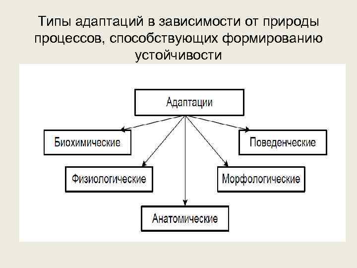 Типы адаптаций в зависимости от природы процессов, способствующих формированию устойчивости 