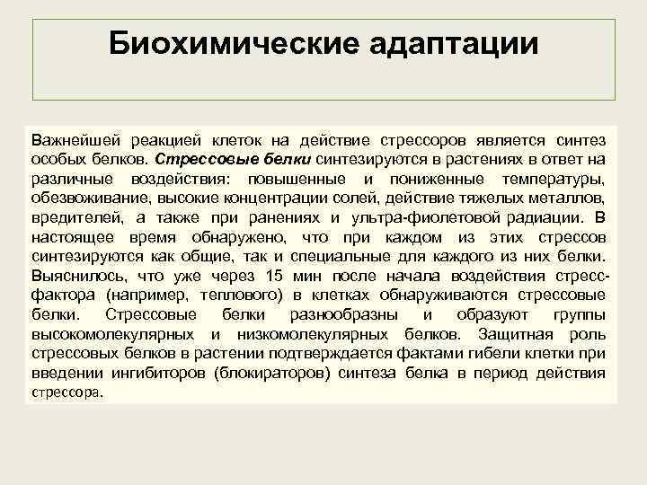 Биохимические адаптации Важнейшей реакцией клеток на действие стрессоров является синтез особых белков. Стрессовые белки