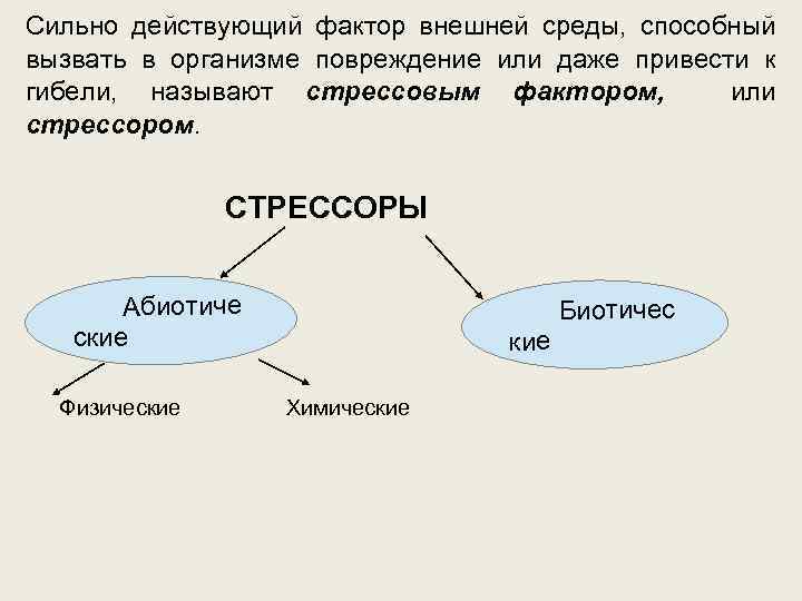 Сильно действующий