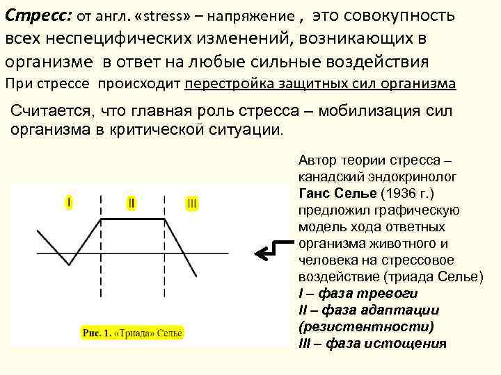 Стресс: от англ. «stress» – напряжение , это совокупность всех неспецифических изменений, возникающих в