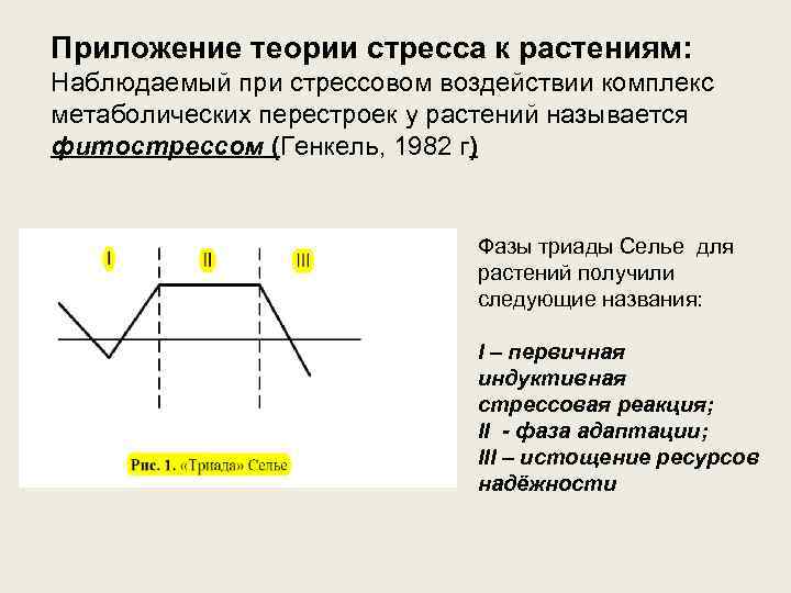 Триада селье