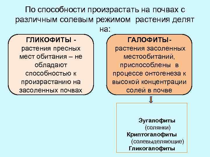 По способности произрастать на почвах с различным солевым режимом растения делят на: ГЛИКОФИТЫ растения