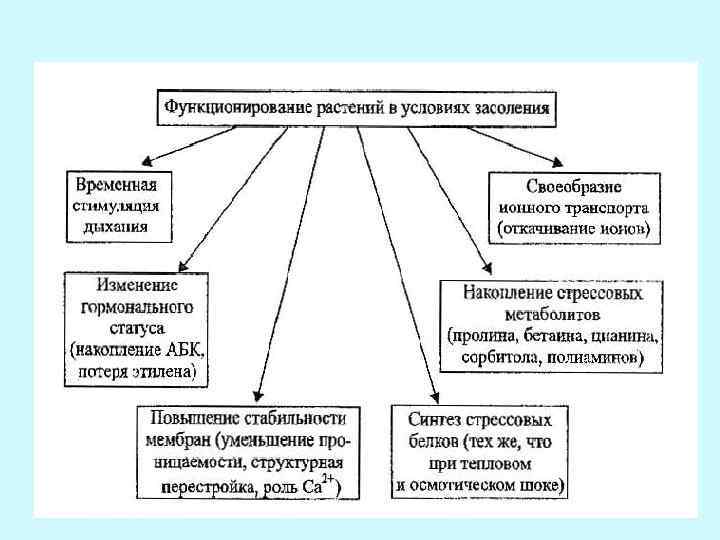 Влияние химических веществ на рост растений проект