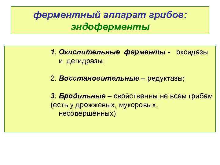 ферментный аппарат грибов: эндоферменты 1. Окислительные ферменты - оксидазы и дегидразы; 2. Восстановительные –