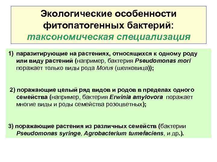 Экологические особенности фитопатогенных бактерий: таксономическая специализация 1) паразитирующие на растениях, относящихся к одному роду