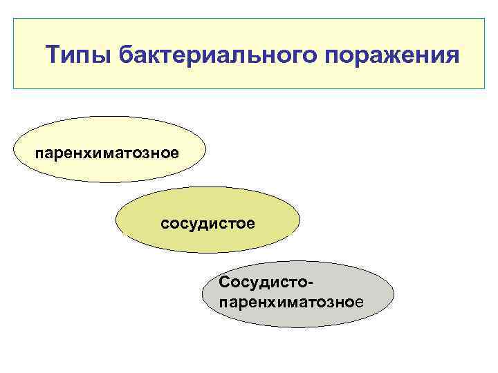  Типы бактериального поражения паренхиматозное сосудистое Сосудистопаренхиматозное 