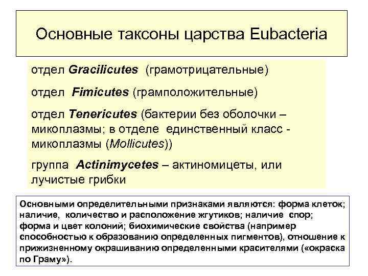 Основные таксоны царства Еubacteria отдел Gracilicutes (грамотрицательные) отдел Fimicutes (грамположительные) отдел Tenericutes (бактерии без