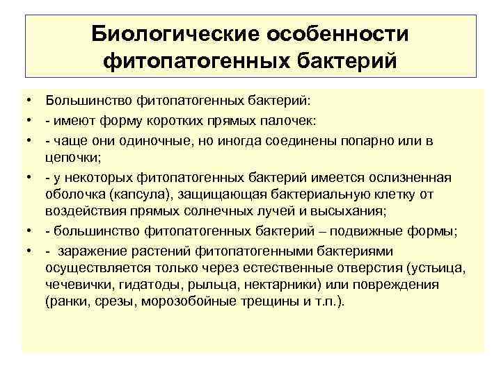 Биологические особенности фитопатогенных бактерий • Большинство фитопатогенных бактерий: • - имеют форму коротких прямых