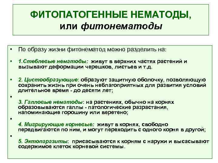 ФИТОПАТОГЕННЫЕ НЕМАТОДЫ, или фитонематоды • По образу жизни фитонематод можно разделить на: • 1.