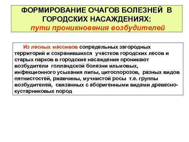 ФОРМИРОВАНИЕ ОЧАГОВ БОЛЕЗНЕЙ В ГОРОДСКИХ НАСАЖДЕНИЯХ: пути проникновения возбудителей Из лесных массивов сопредельных загородных