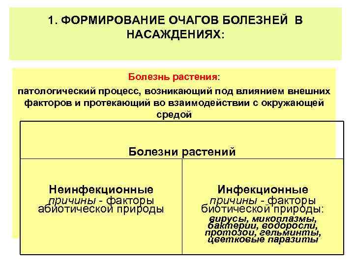 1. ФОРМИРОВАНИЕ ОЧАГОВ БОЛЕЗНЕЙ В НАСАЖДЕНИЯХ: Болезнь растения: патологический процесс, возникающий под влиянием внешних