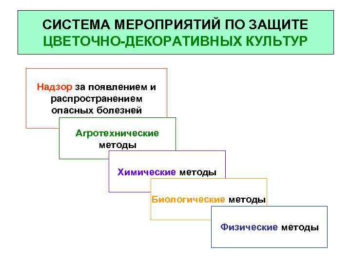 Система мероприятий