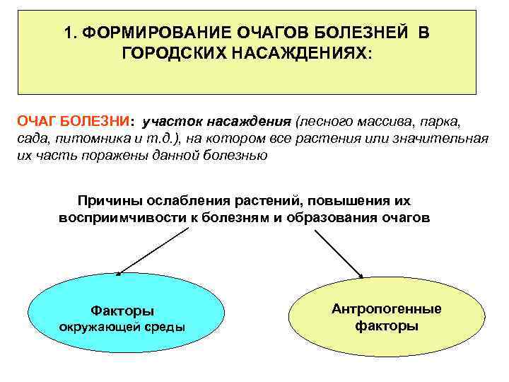 1. ФОРМИРОВАНИЕ ОЧАГОВ БОЛЕЗНЕЙ В ГОРОДСКИХ НАСАЖДЕНИЯХ: ОЧАГ БОЛЕЗНИ: участок насаждения (лесного массива, парка,