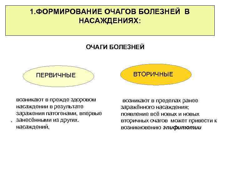 1. ФОРМИРОВАНИЕ ОЧАГОВ БОЛЕЗНЕЙ В НАСАЖДЕНИЯХ: ОЧАГИ БОЛЕЗНЕЙ ПЕРВИЧНЫЕ возникают в прежде здоровом насаждении