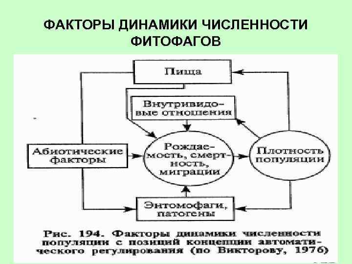 ФАКТОРЫ ДИНАМИКИ ЧИСЛЕННОСТИ ФИТОФАГОВ 