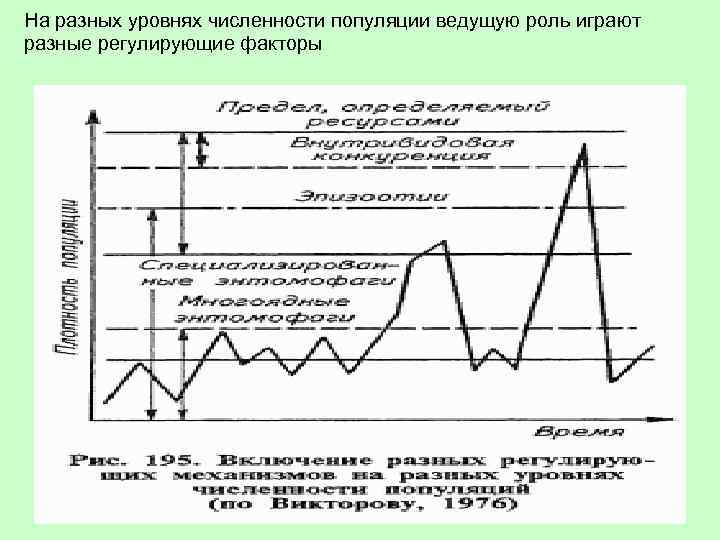 На разных уровнях численности популяции ведущую роль играют разные регулирующие факторы 