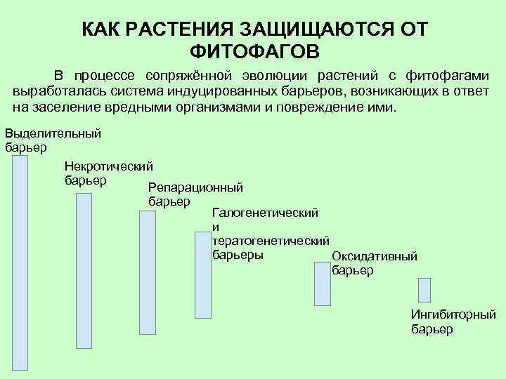 КАК РАСТЕНИЯ ЗАЩИЩАЮТСЯ ОТ ФИТОФАГОВ В процессе сопряжённой эволюции растений с фитофагами выработалась система