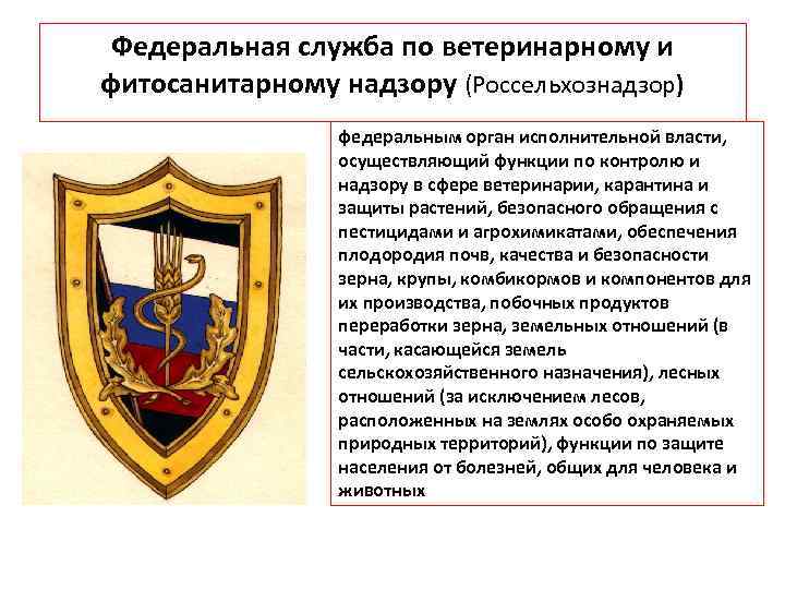 Федеральная служба по ветеринарному и фитосанитарному надзору (Россельхознадзор) федеральным орган исполнительной власти, осуществляющий функции