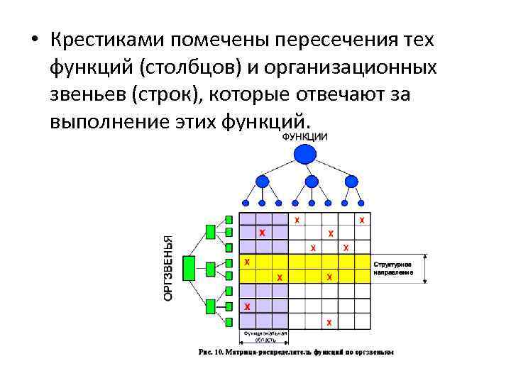  • Крестиками помечены пересечения тех функций (столбцов) и организационных звеньев (строк), которые отвечают
