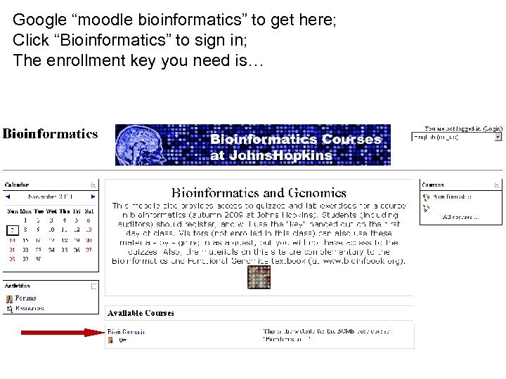 Google “moodle bioinformatics” to get here; Click “Bioinformatics” to sign in; The enrollment key