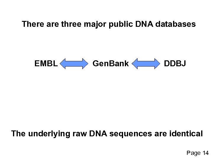 There are three major public DNA databases EMBL Gen. Bank DDBJ The underlying raw