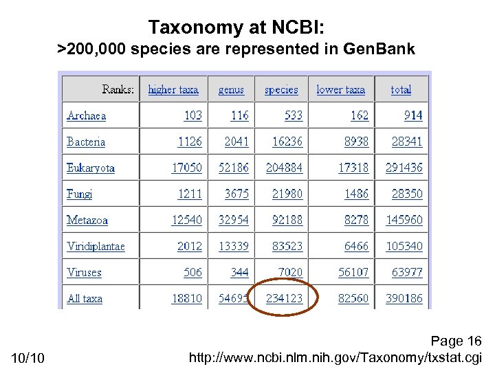 Taxonomy at NCBI: >200, 000 species are represented in Gen. Bank 10/10 Page 16