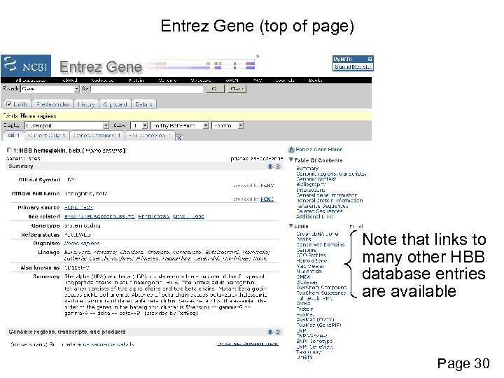 Entrez Gene (top of page) Note that links to many other HBB database entries
