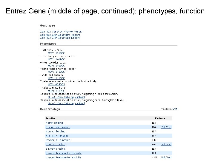 Entrez Gene (middle of page, continued): phenotypes, function 