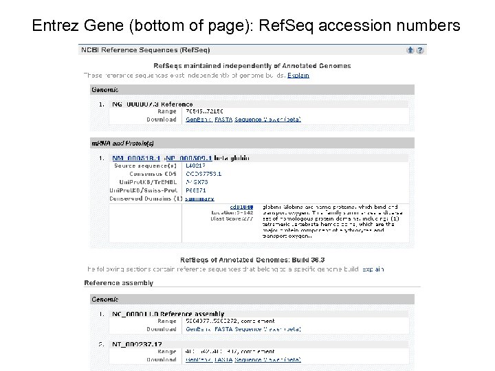 Entrez Gene (bottom of page): Ref. Seq accession numbers 