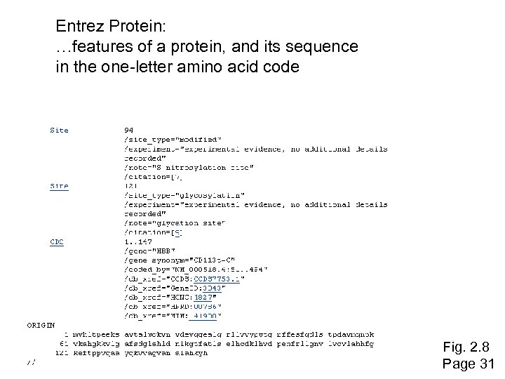 Entrez Protein: …features of a protein, and its sequence in the one-letter amino acid