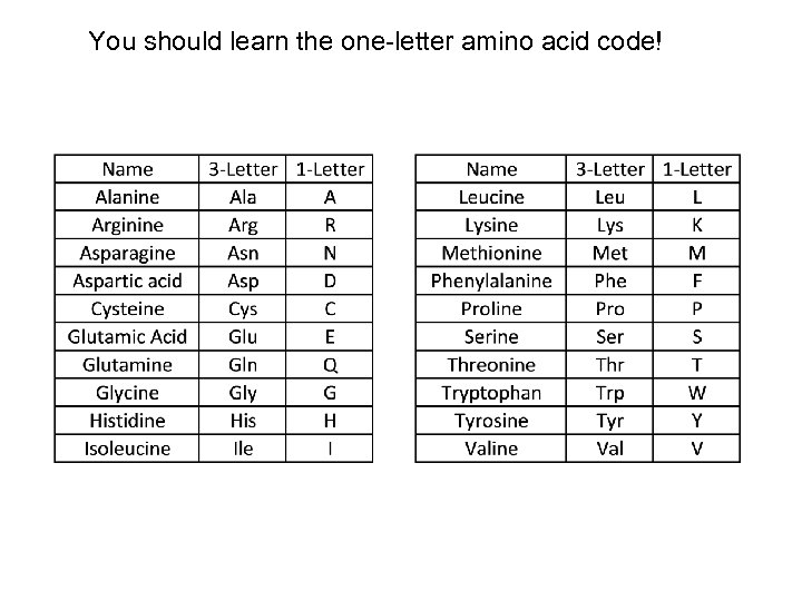 You should learn the one-letter amino acid code! 