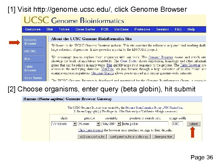 [1] Visit http: //genome. ucsc. edu/, click Genome Browser [2] Choose organisms, enter query