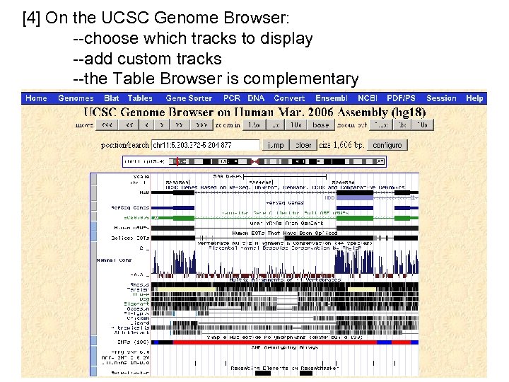 [4] On the UCSC Genome Browser: --choose which tracks to display --add custom tracks