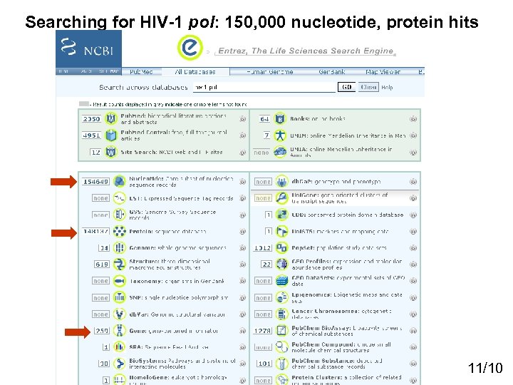 Searching for HIV-1 pol: 150, 000 nucleotide, protein hits 11/10 