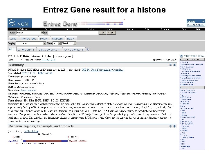 Entrez Gene result for a histone 
