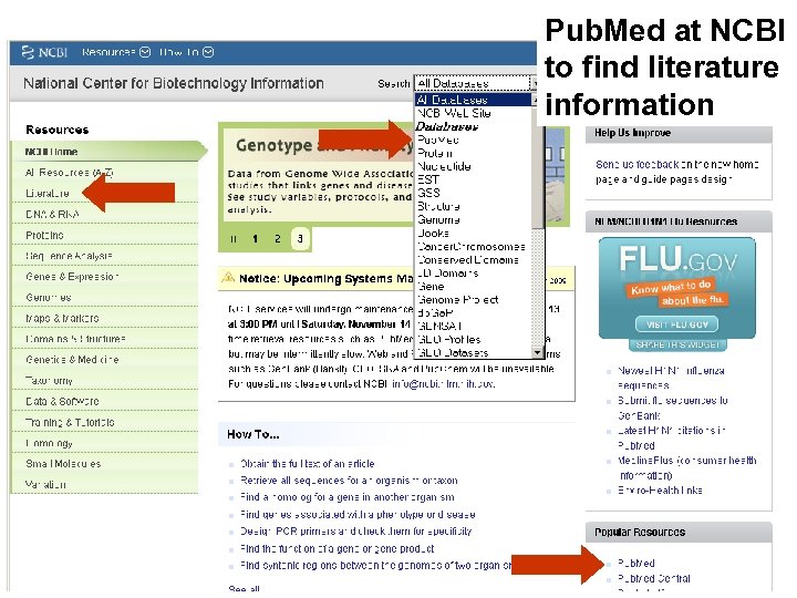 Pub. Med at NCBI to find literature information 