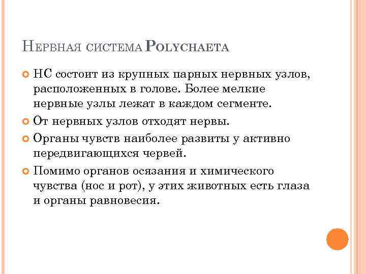 НЕРВНАЯ СИСТЕМА POLYCHAETA НС состоит из крупных парных нервных узлов, расположенных в голове. Более