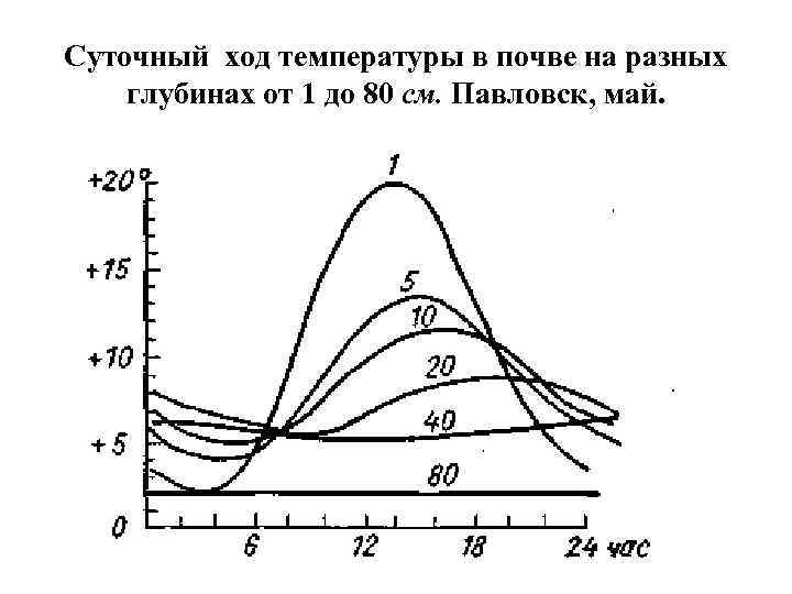 Суточный ход температуры в почве на разных глубинах от 1 до 80 см. Павловск,