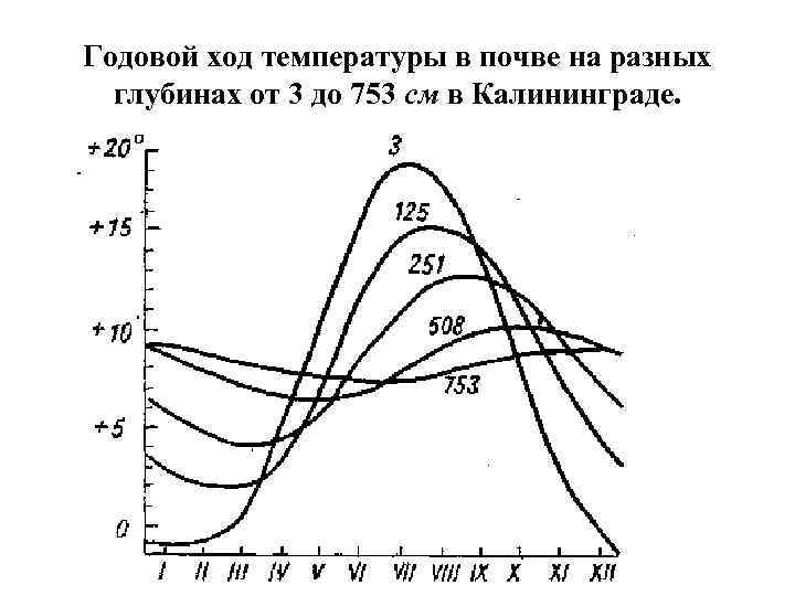 Годовой ход температуры в почве на разных глубинах от 3 до 753 см в