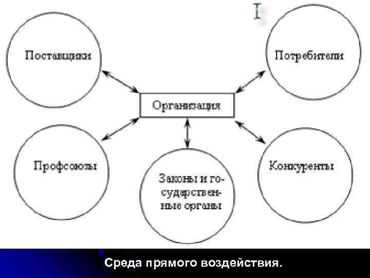 Среда прямого воздействия. 