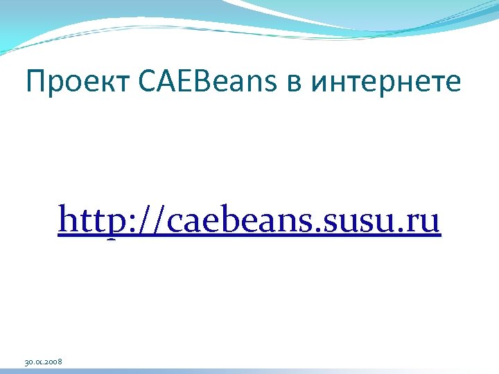 Проект CAEBeans в интернете http: //caebeans. susu. ru 30. 01. 2008 