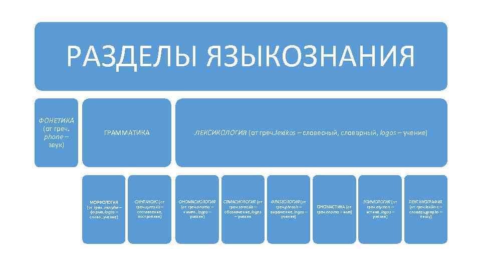 План содержания и план выражения в грамматике языкознание