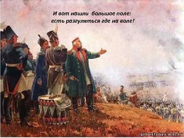 И вот нашли большое поле: есть разгуляться где на воле! 