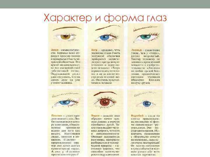 Характер и форма глаз 