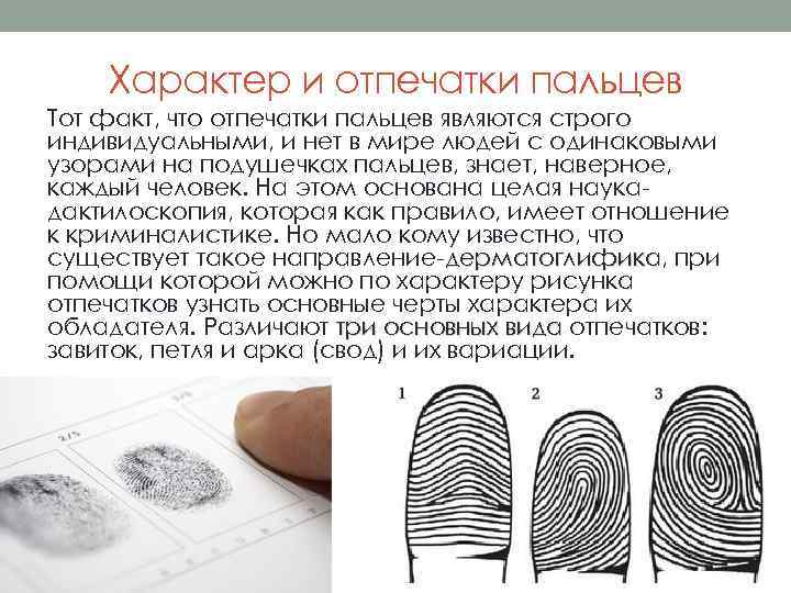 Характер и отпечатки пальцев Тот факт, что отпечатки пальцев являются строго индивидуальными, и нет