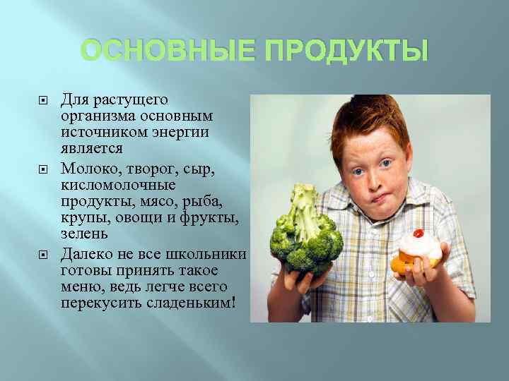 ОСНОВНЫЕ ПРОДУКТЫ Для растущего организма основным источником энергии является Молоко, творог, сыр, кисломолочные продукты,