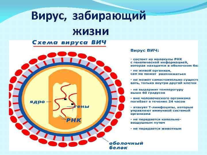 Вирус, забирающий жизни 