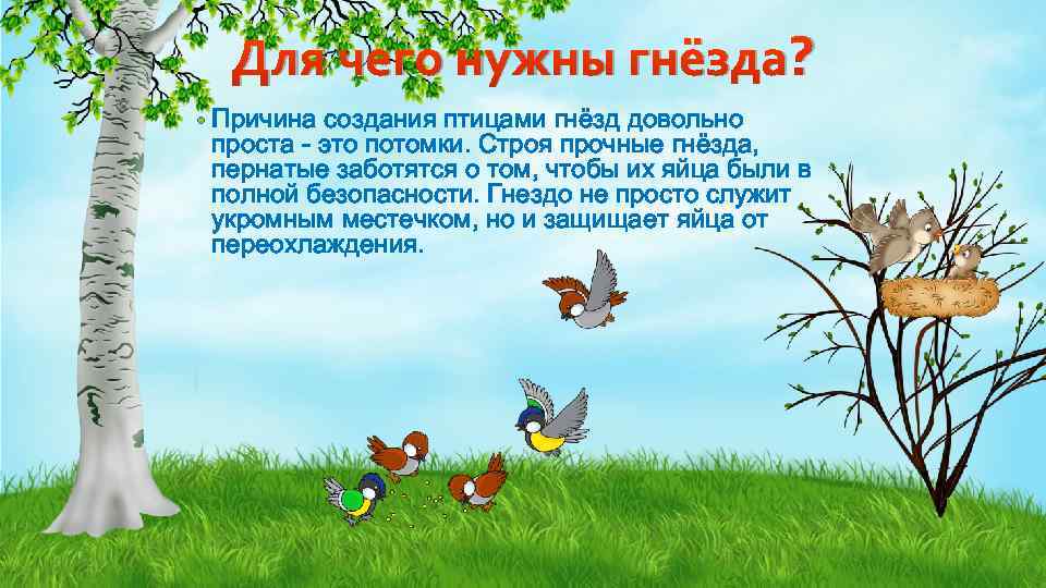 Для чего нужны гнёзда? • Причина создания птицами гнёзд довольно проста это потомки. Строя