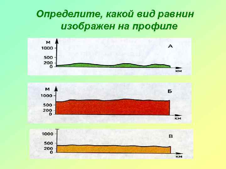 Определите, какой вид равнин изображен на профиле 